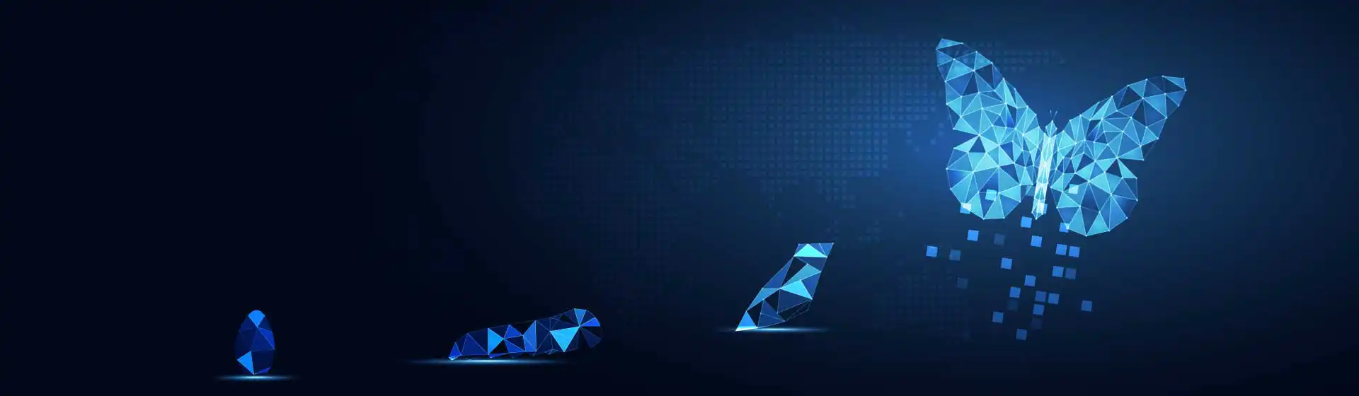 Tranformational Digital - we are changing the way business is done