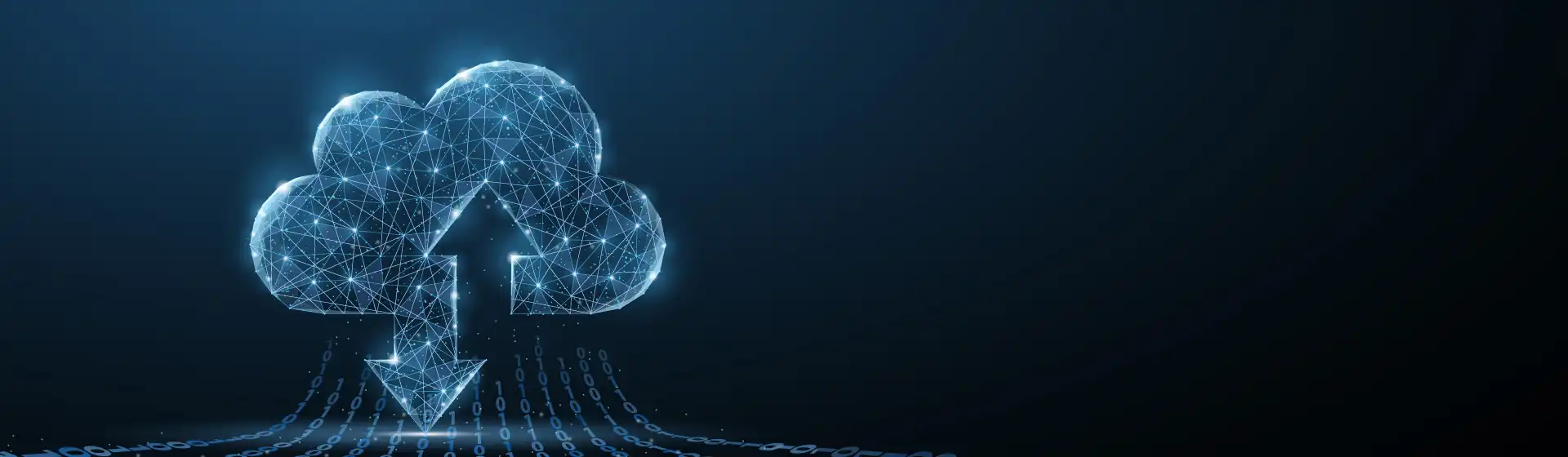 Trigyn's high capacity cloud